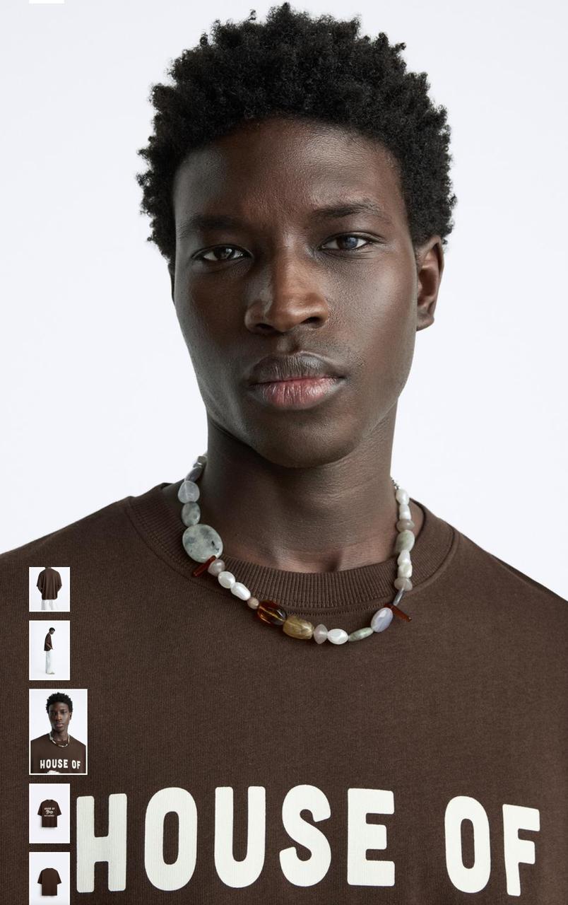ZARA Men’s Brown Oversized T-Shirt with Horse Print